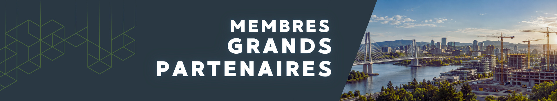 Membres Grands Partenaires