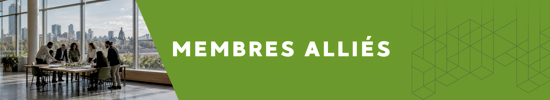 Membres Alliés