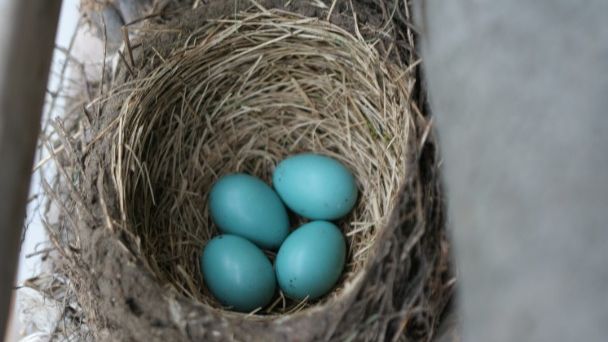 Articles - Image d'intro