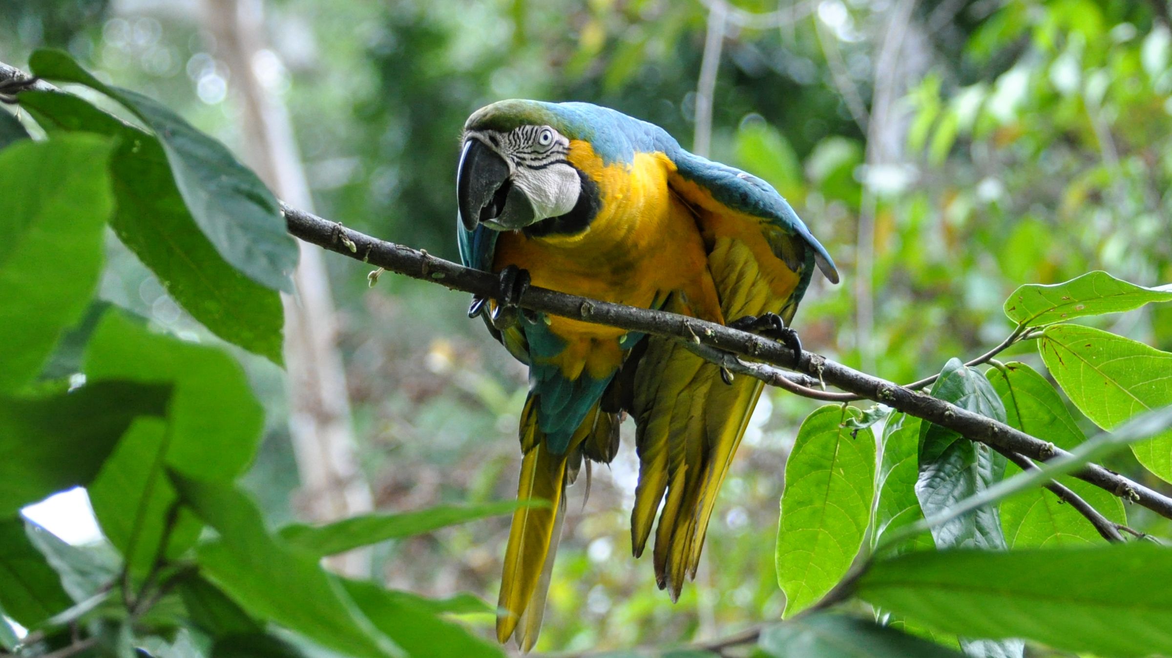 Articles - Image d'intro