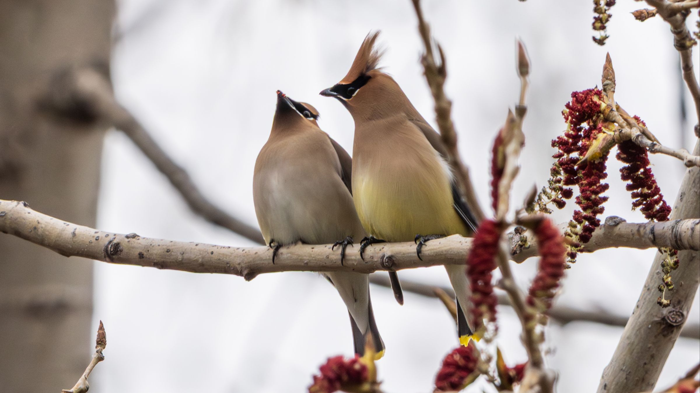 Articles - Image d'intro