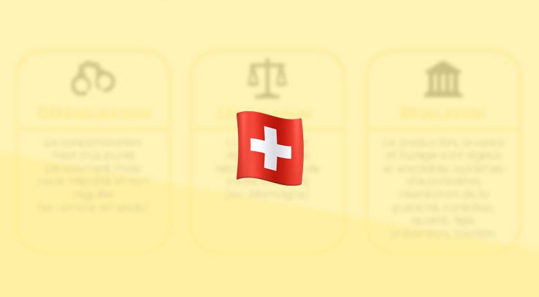 Articles - Vignette