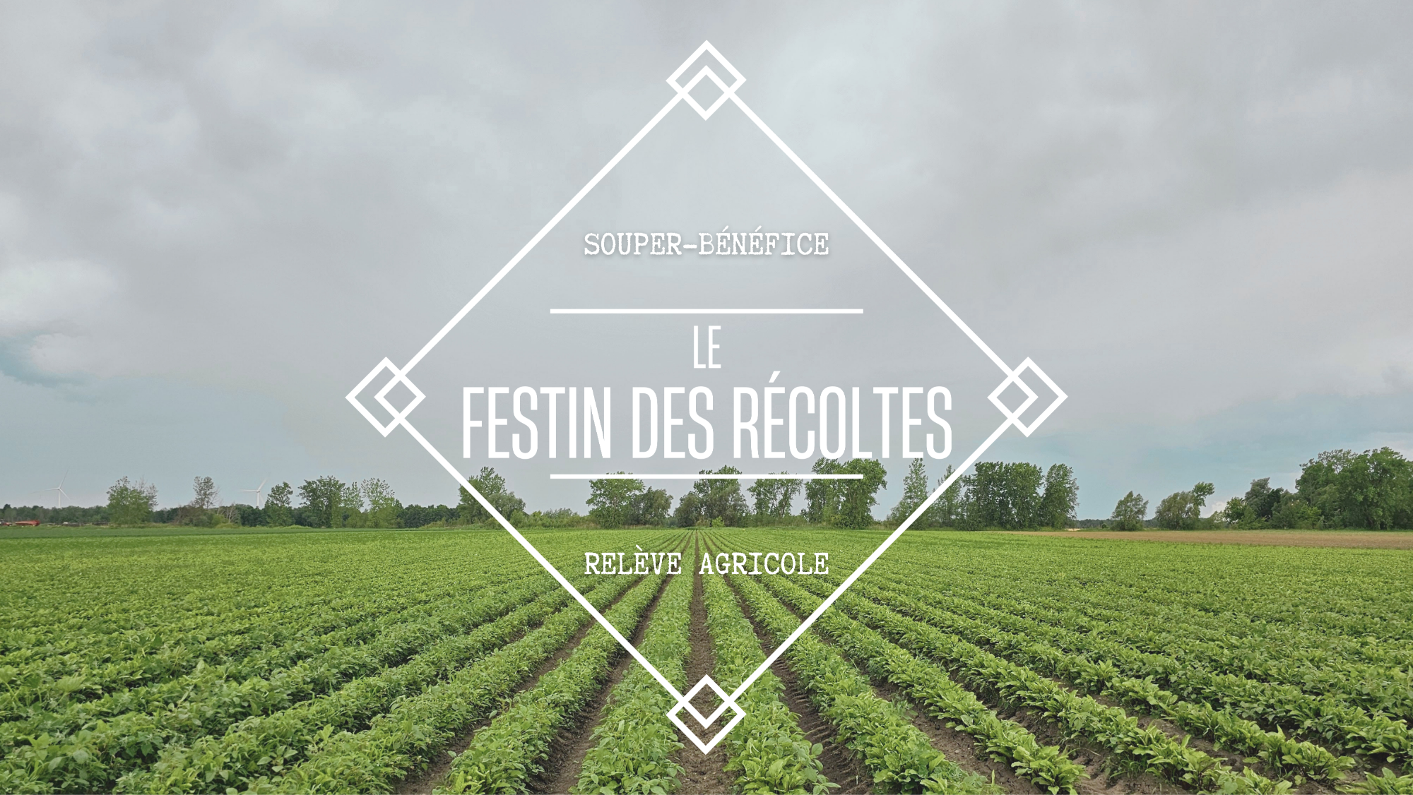 7e édition du Festin des récoltes