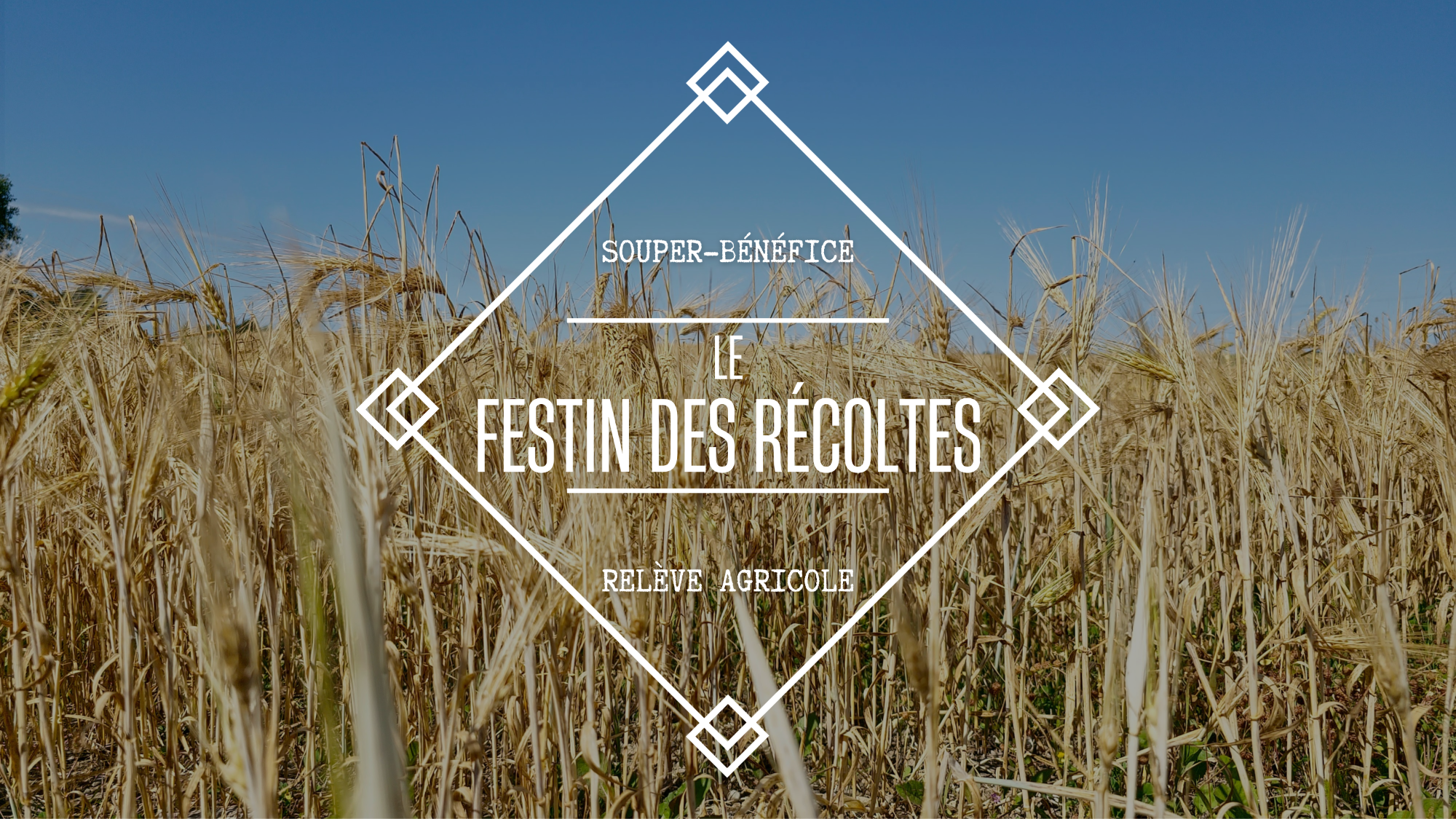 6e édition du Festin des récoltes