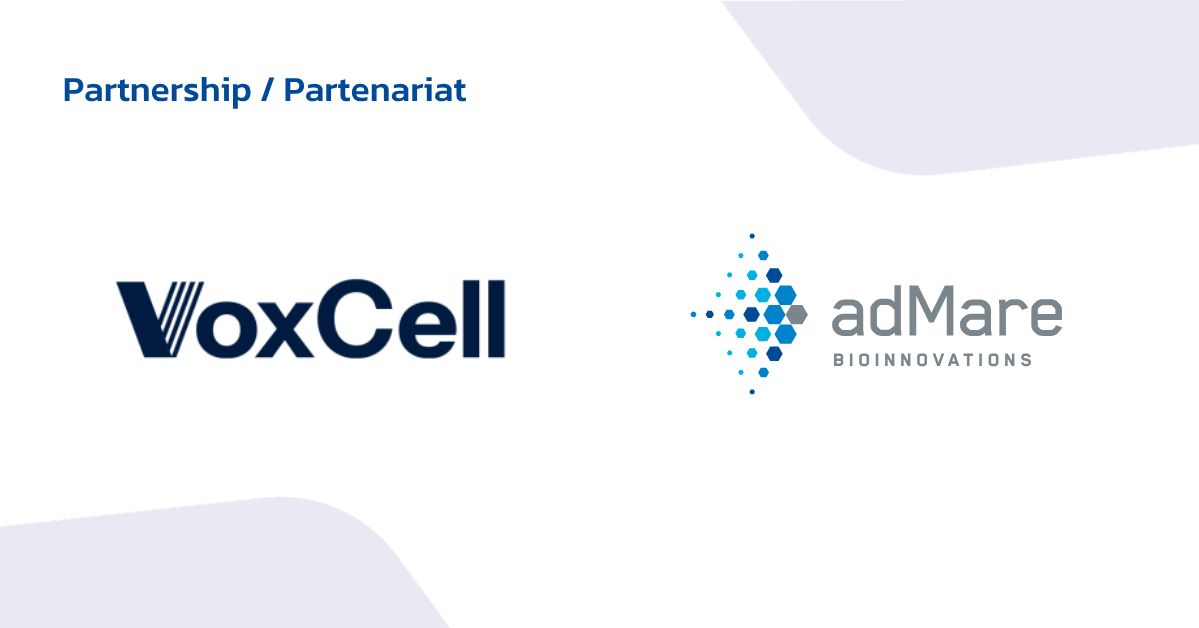 VoxCell BioInnovation et adMare BioInnovations s’associent pour faire progresser de nouvelles thérapies à base d’anticorps grâce à une plateforme de tissus vascularisés représentative de la biologie humaine