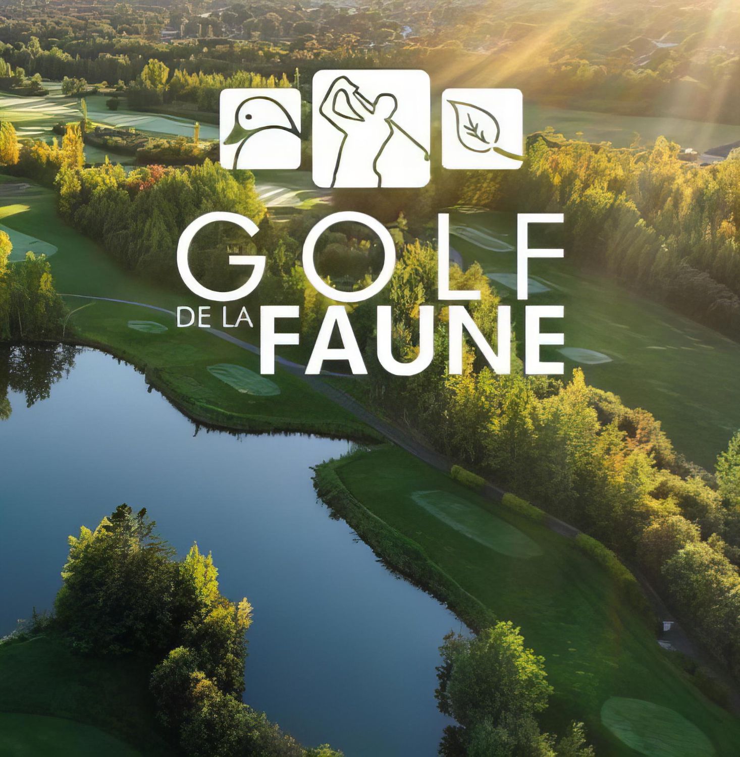 Activité de golf de l'industrie du système intérieur | Région de Québec