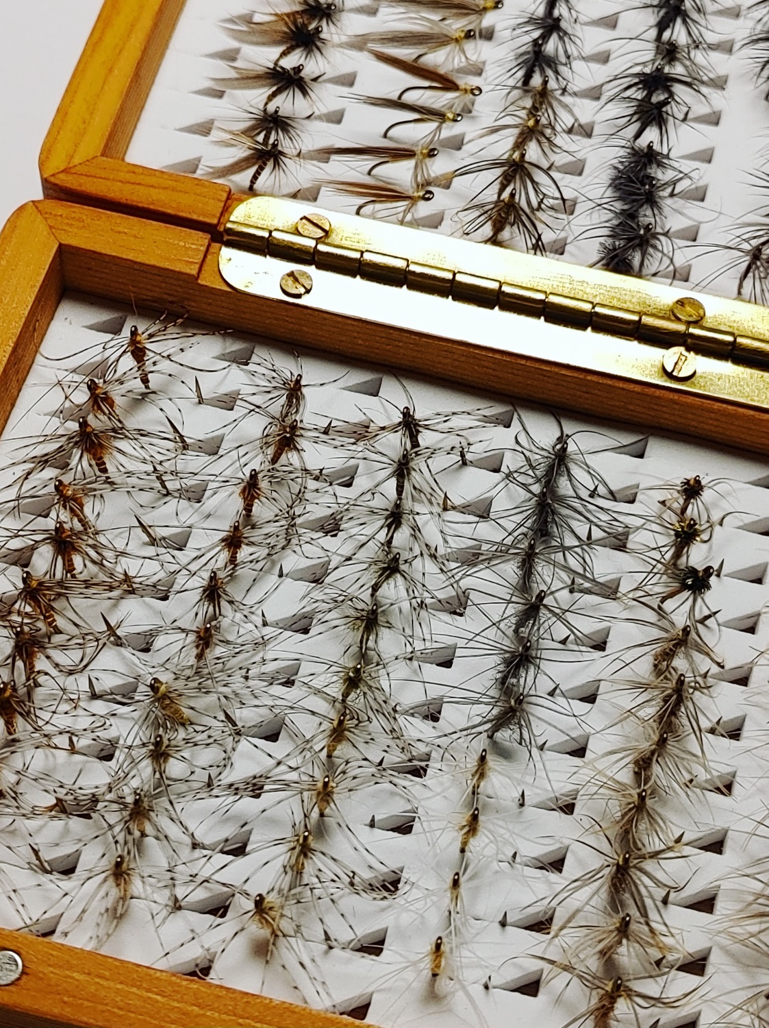 Petites mouches à truite « North Country Spider »