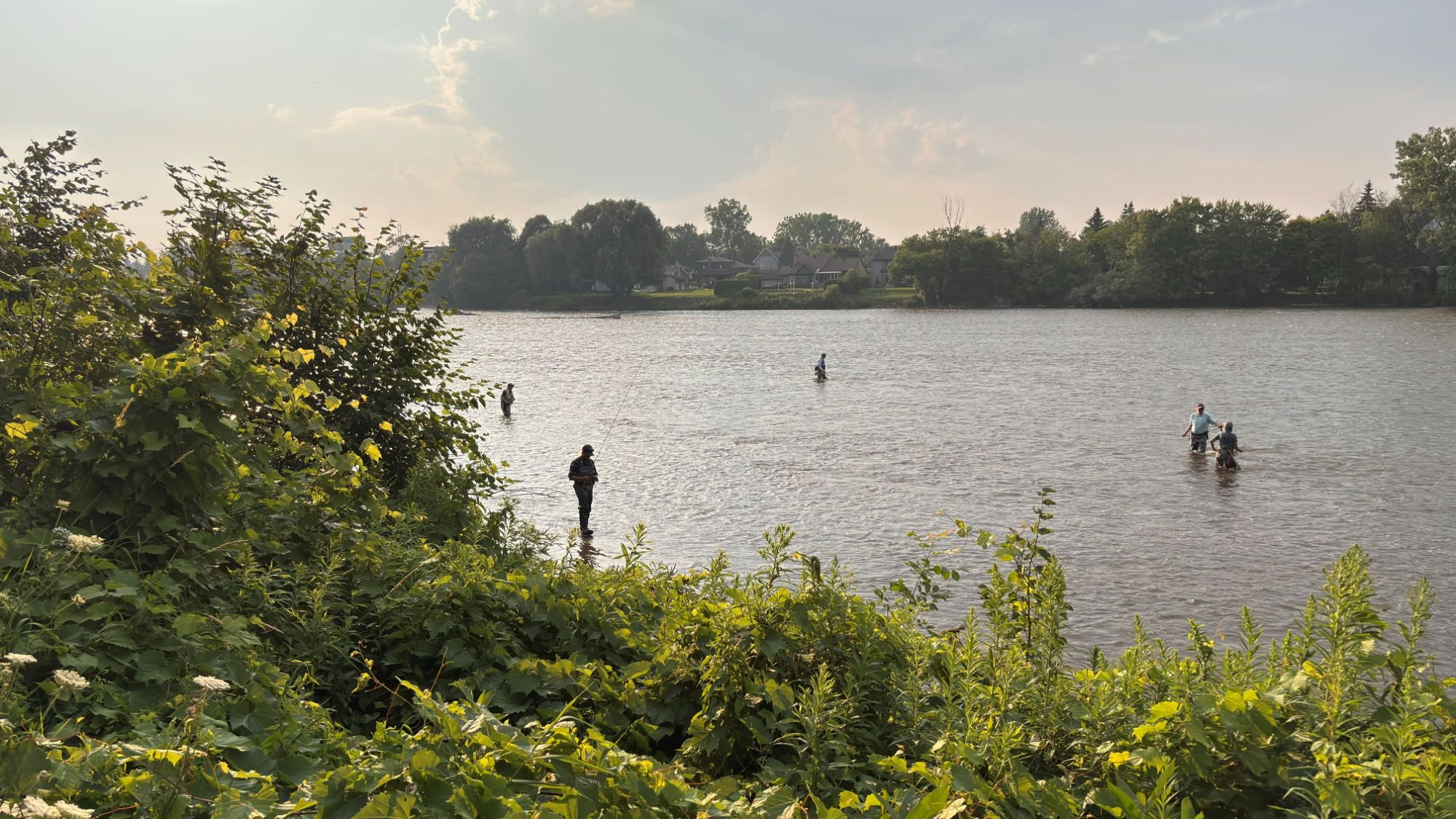 Soirées de pêche urbaine MMM 2026, Île Saint-Jean, Terrebonne