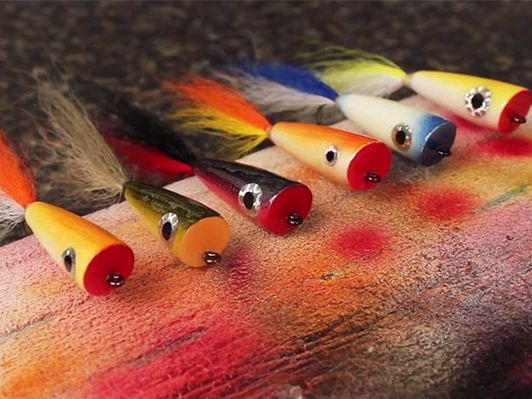 Échange de mouches (Swap) hiver 2026