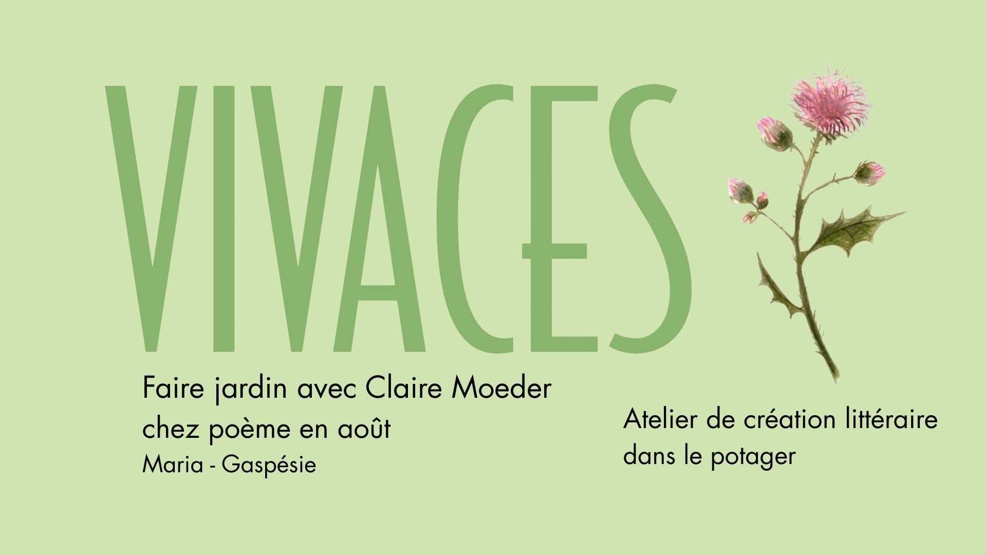 Articles - Vignette