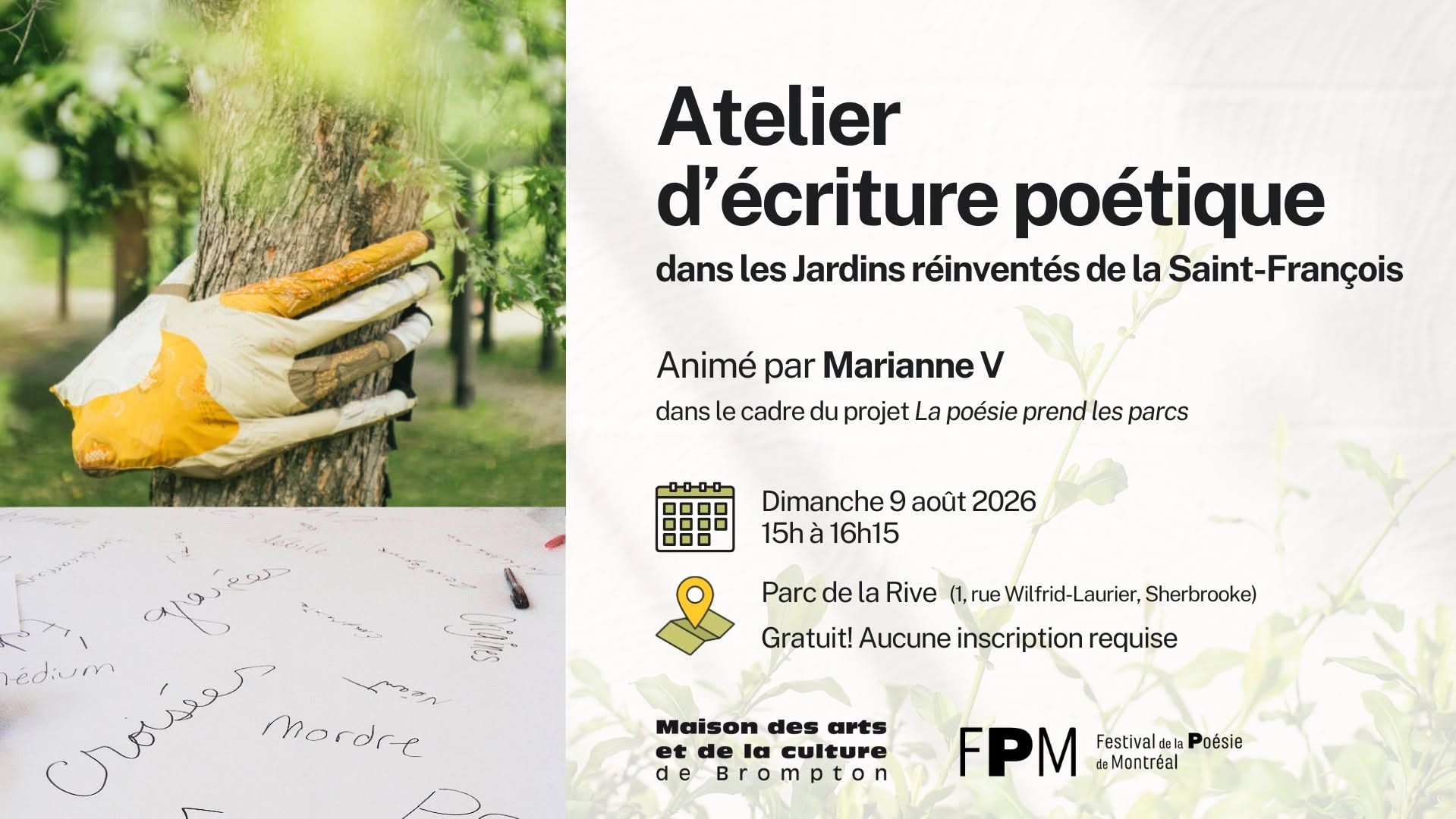 Articles - Vignette