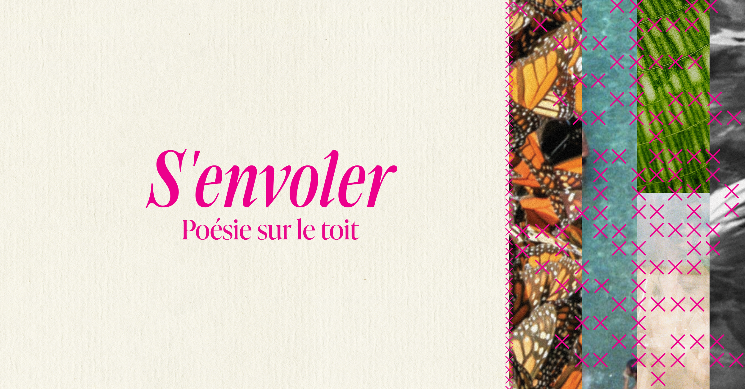 Articles - Vignette