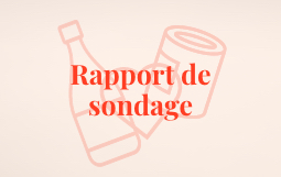 Rapport de sondage