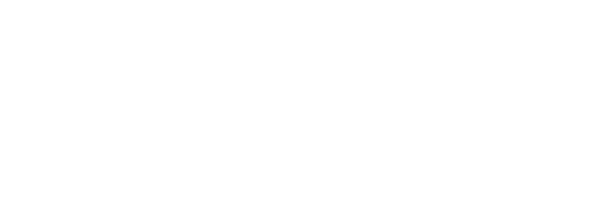 Avec la participation financière du Gouvernement du Québec