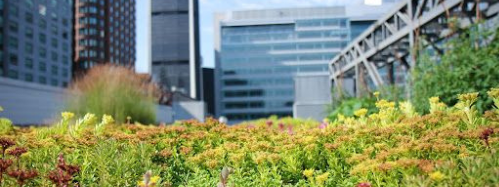 Programme d’aménagement montréalais inclusif et durable