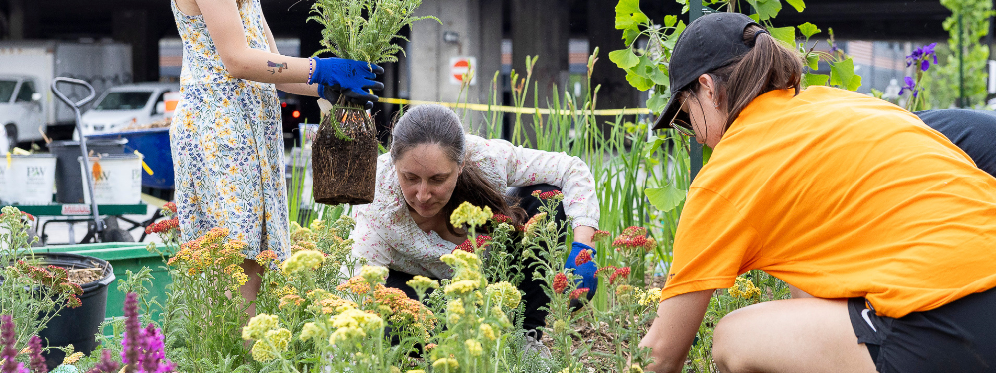 Programme de déminéralisation participative Bye Bye Béton !