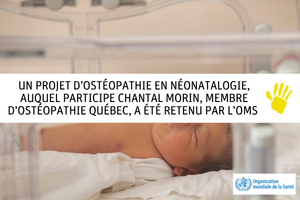 Articles - Image d'intro