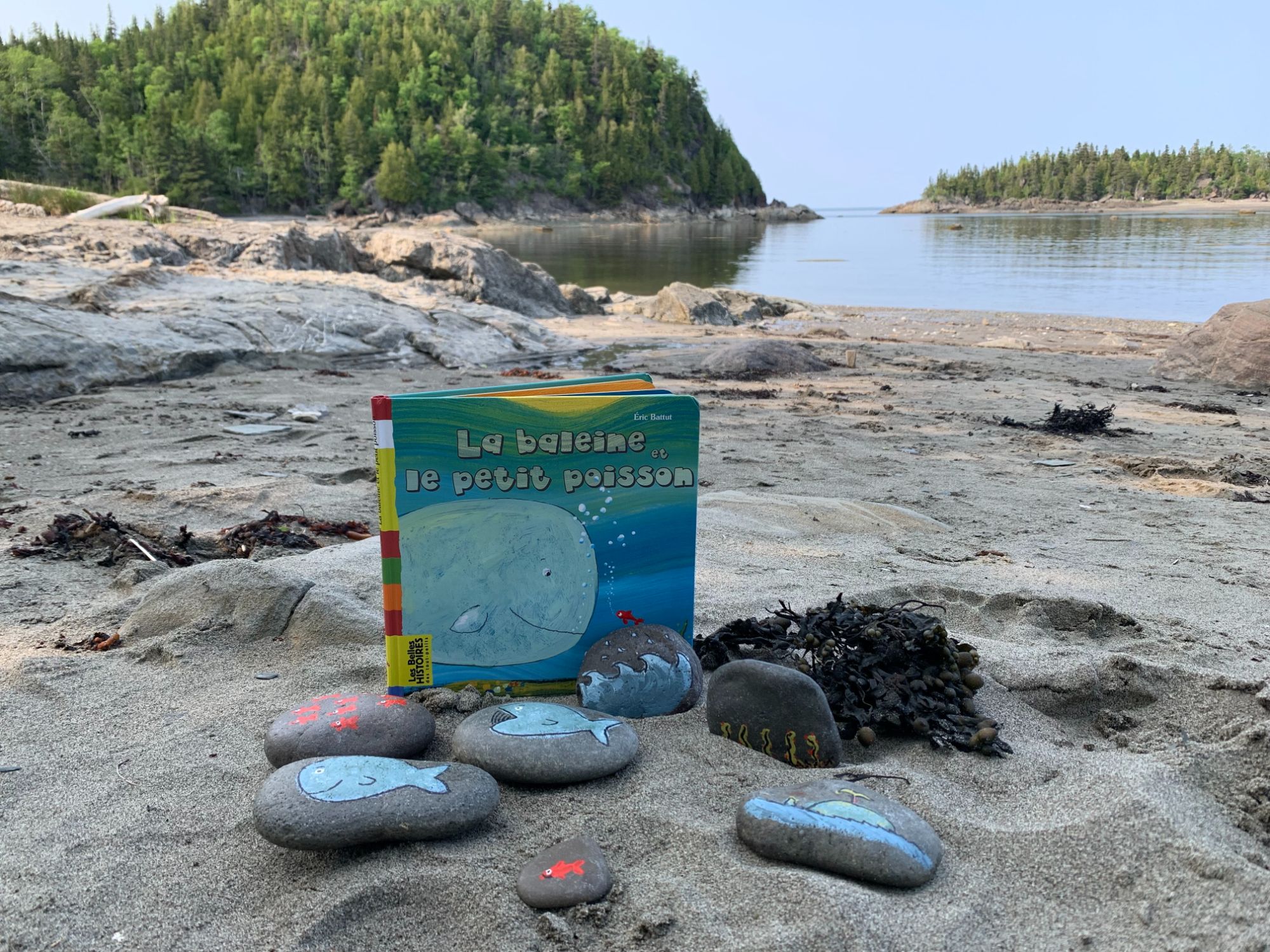 Formation-éclair virtuelle | Lecture et nature : un levier pour les enfants et les intervenants