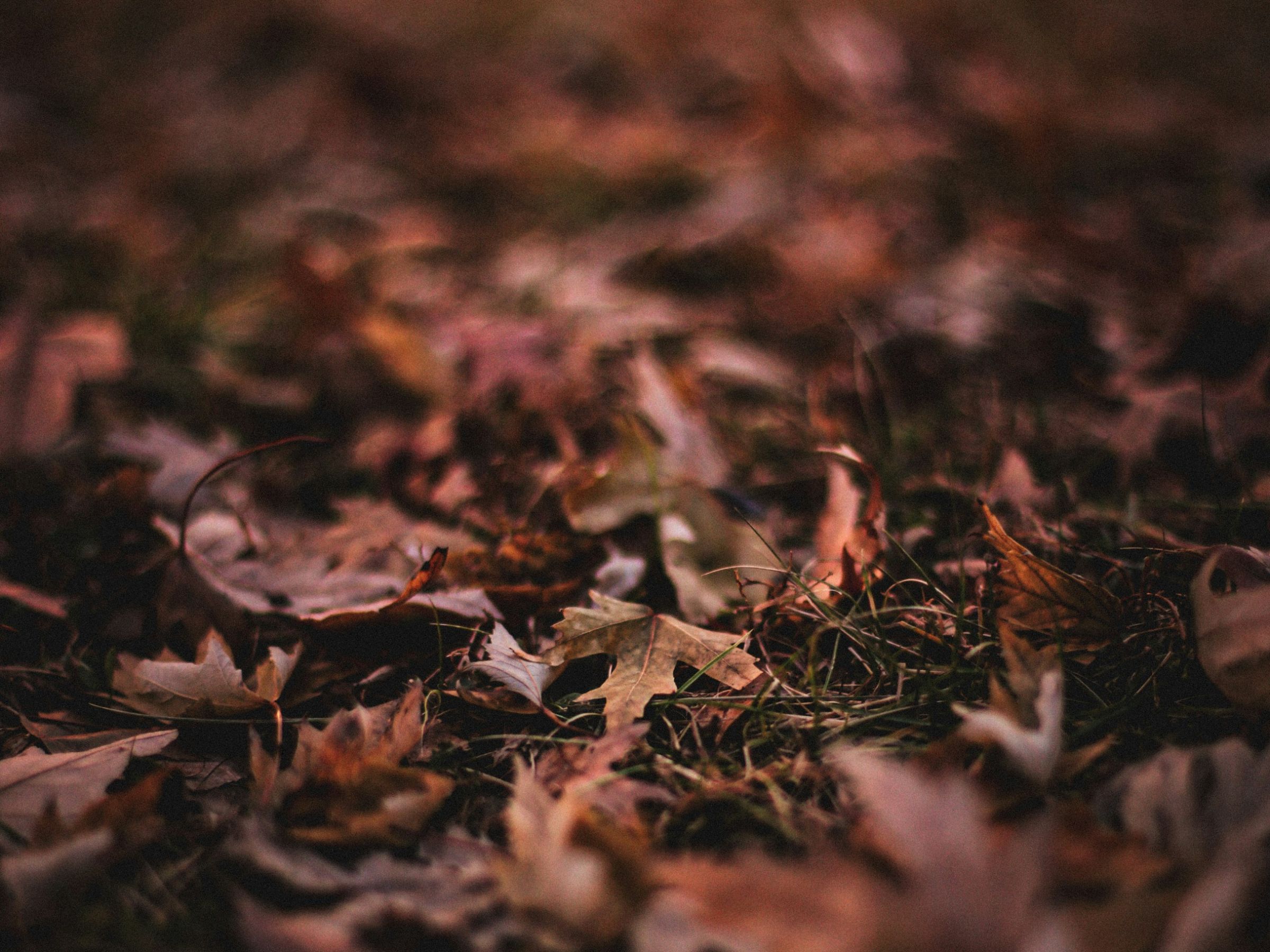 Articles - Image d'intro