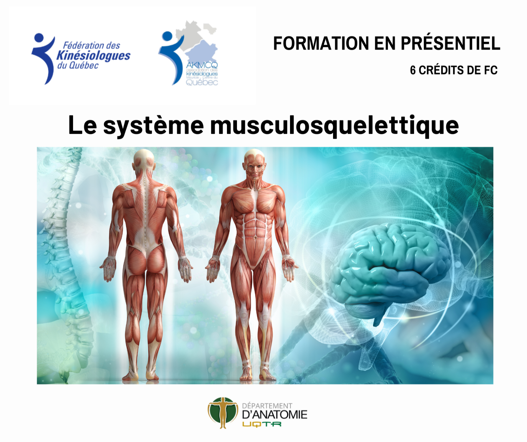 Le système musculo-squelettique, en laboratoire d'anatomie