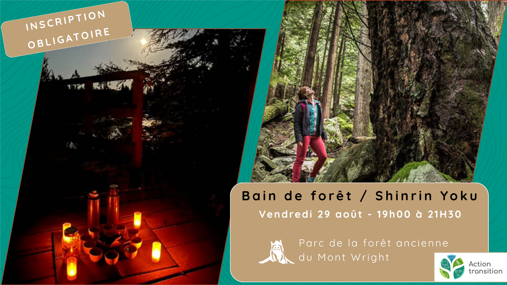Bain de forêt - Vendredi 29 août