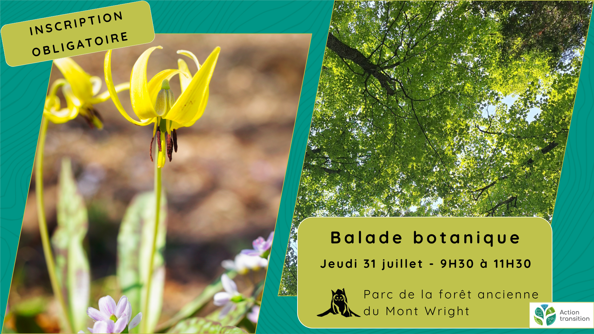 Balade botanique - Jeudi 31 juillet
