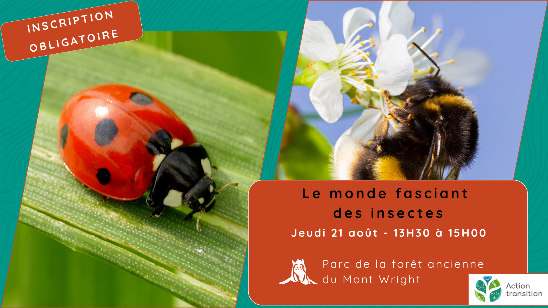 Le monde fascinant des insectes - Jeudi 21 août