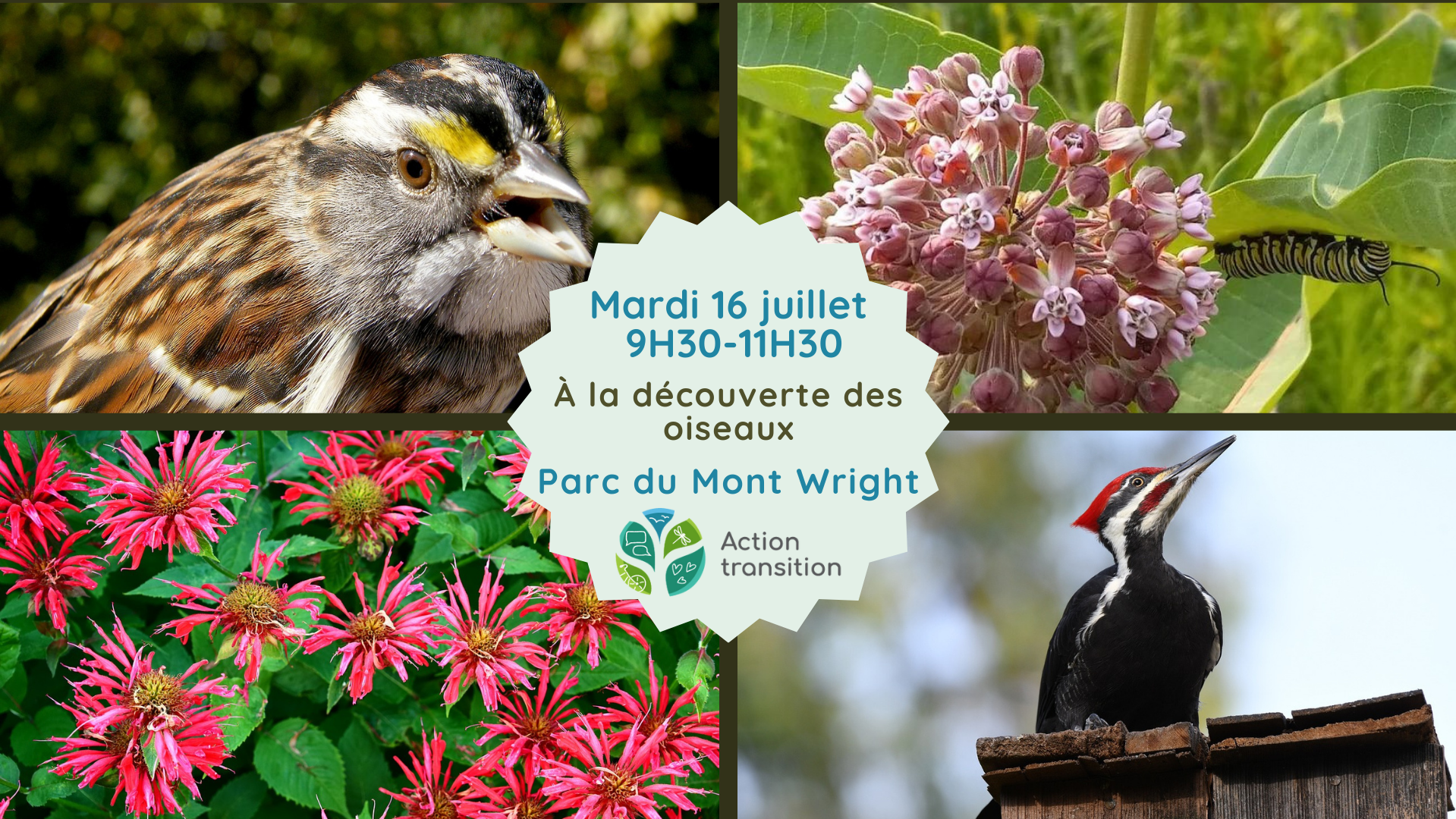 Mardi en nature - À la découverte des oiseaux