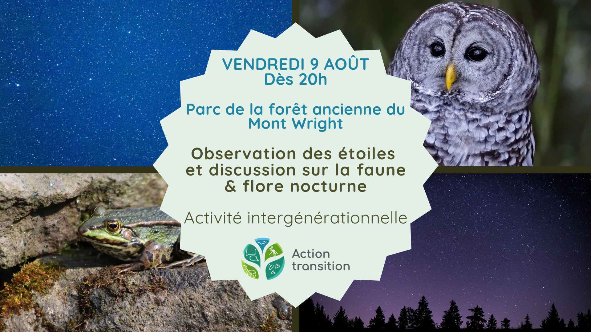 Soirée d'observation des étoiles et discussion sur la faune & la flore nocturne