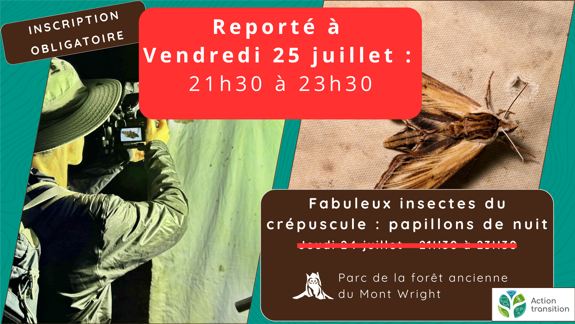 Fabuleux insectes du crépuscule : Papillons de nuit - Vendredi 25 juillet