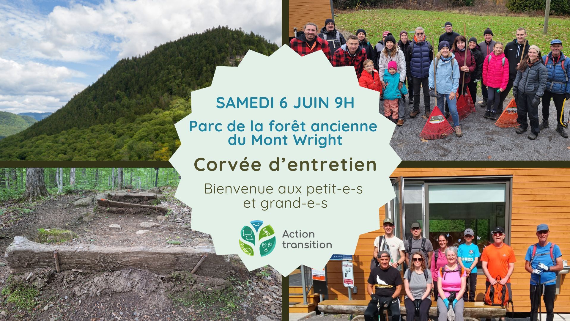 Corvée d'entretien Parc de la forêt ancienne du Mont Wright