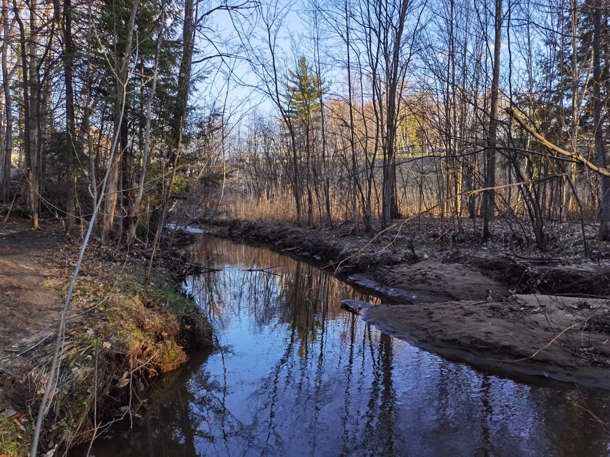 Randonnée découverte Rivière Milette