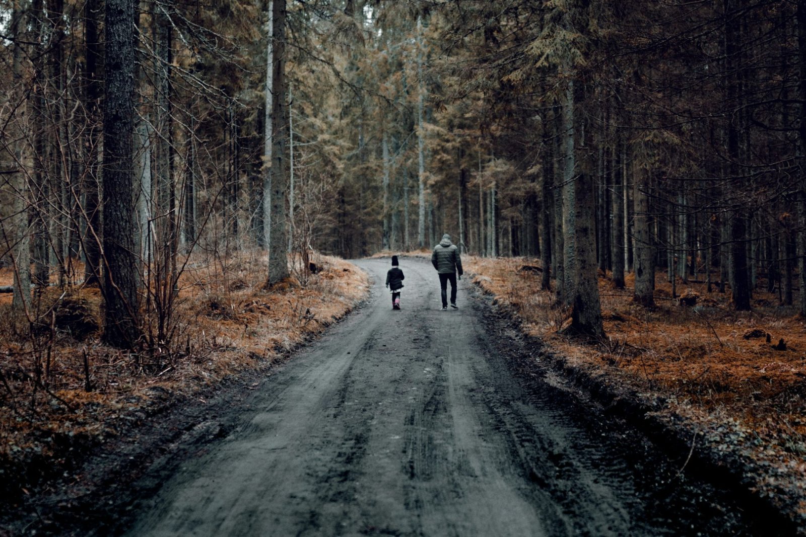 Dans la forêt