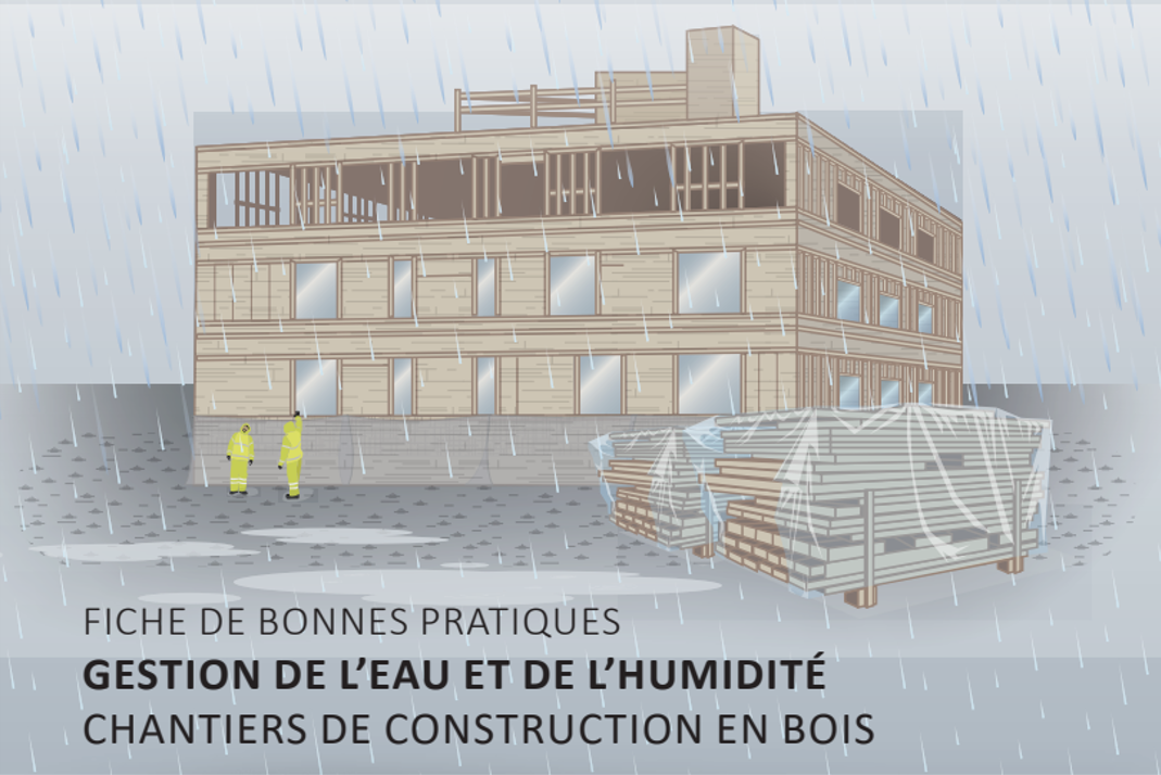 Articles - Vignette