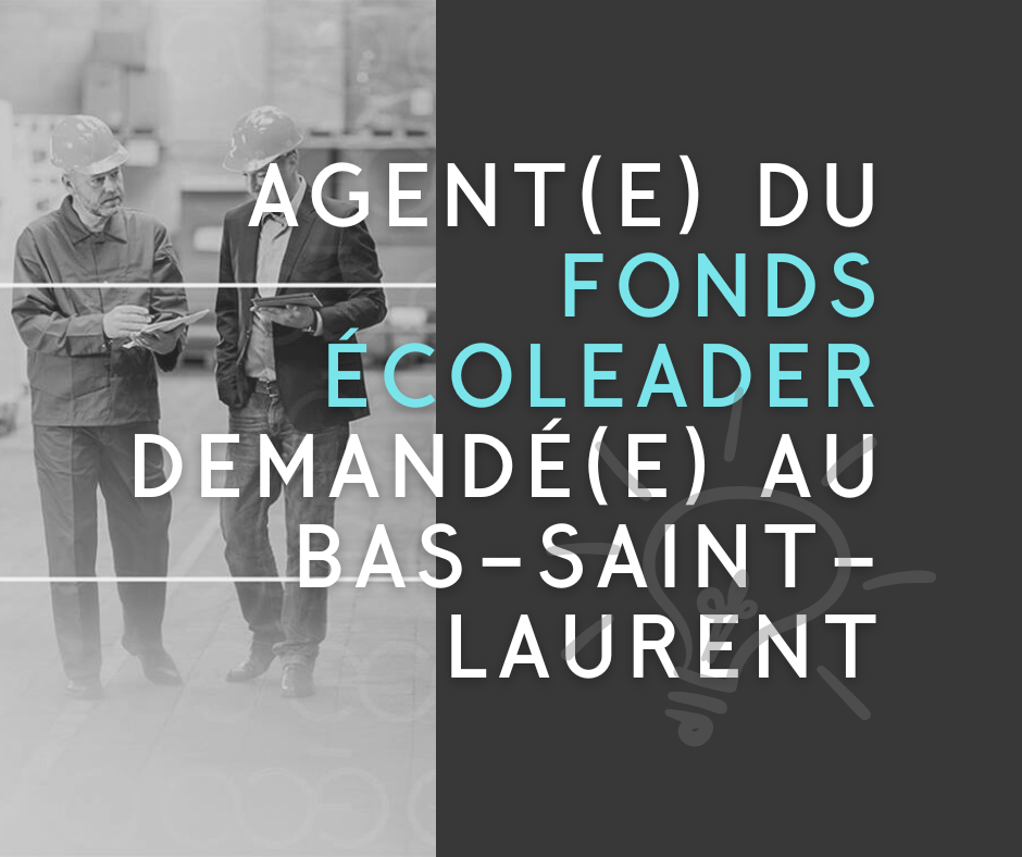 Articles - Image d'intro