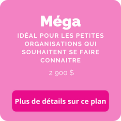 Plan de partenariat Méga