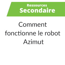 Articles - Vignette