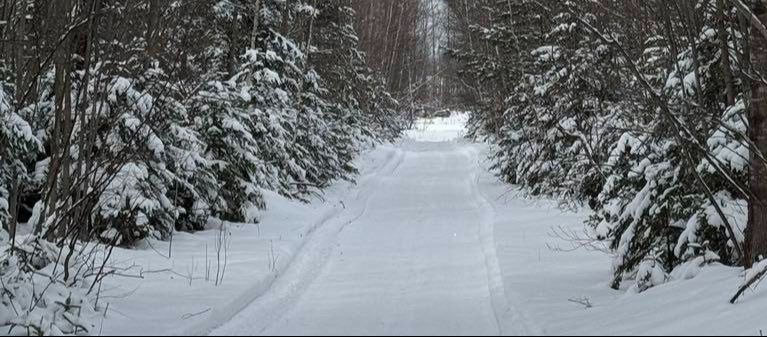 Passe journalière d'accès aux sentiers