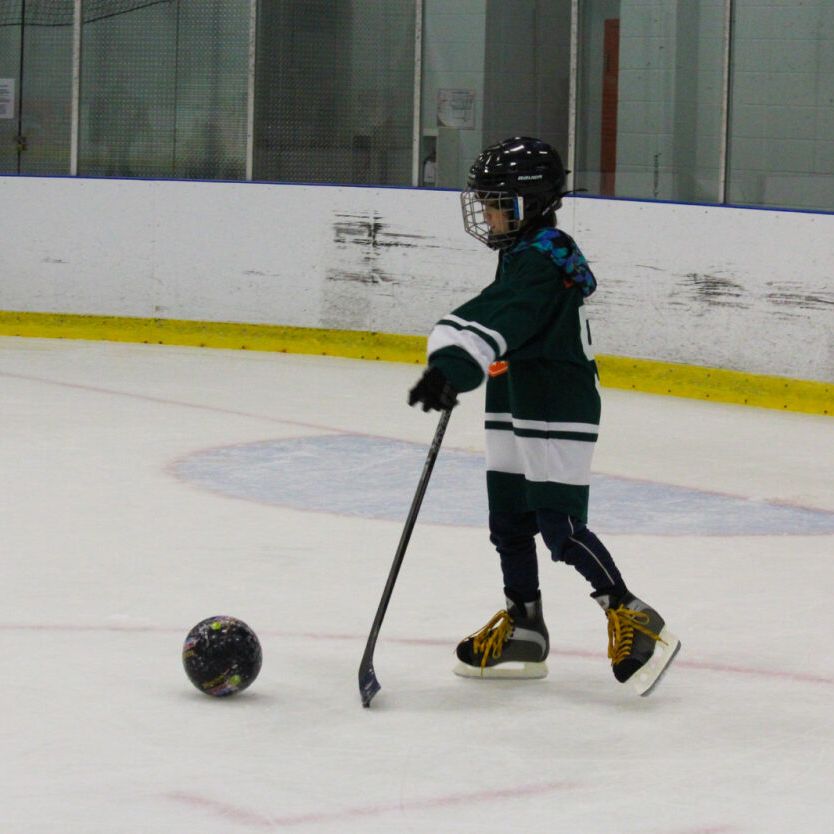 Liste d'attente - Hockey adapté