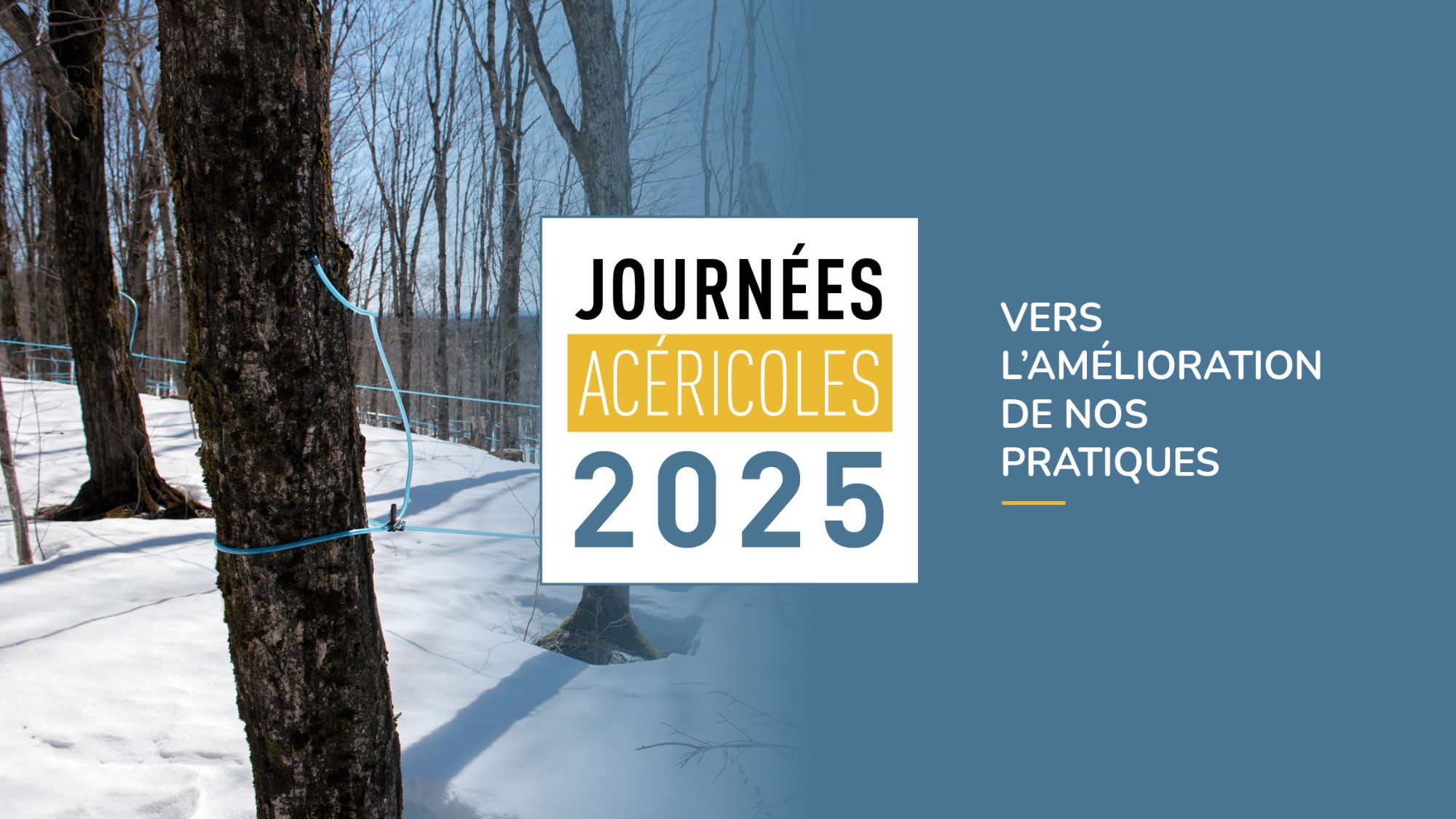 Journée acéricole 2025