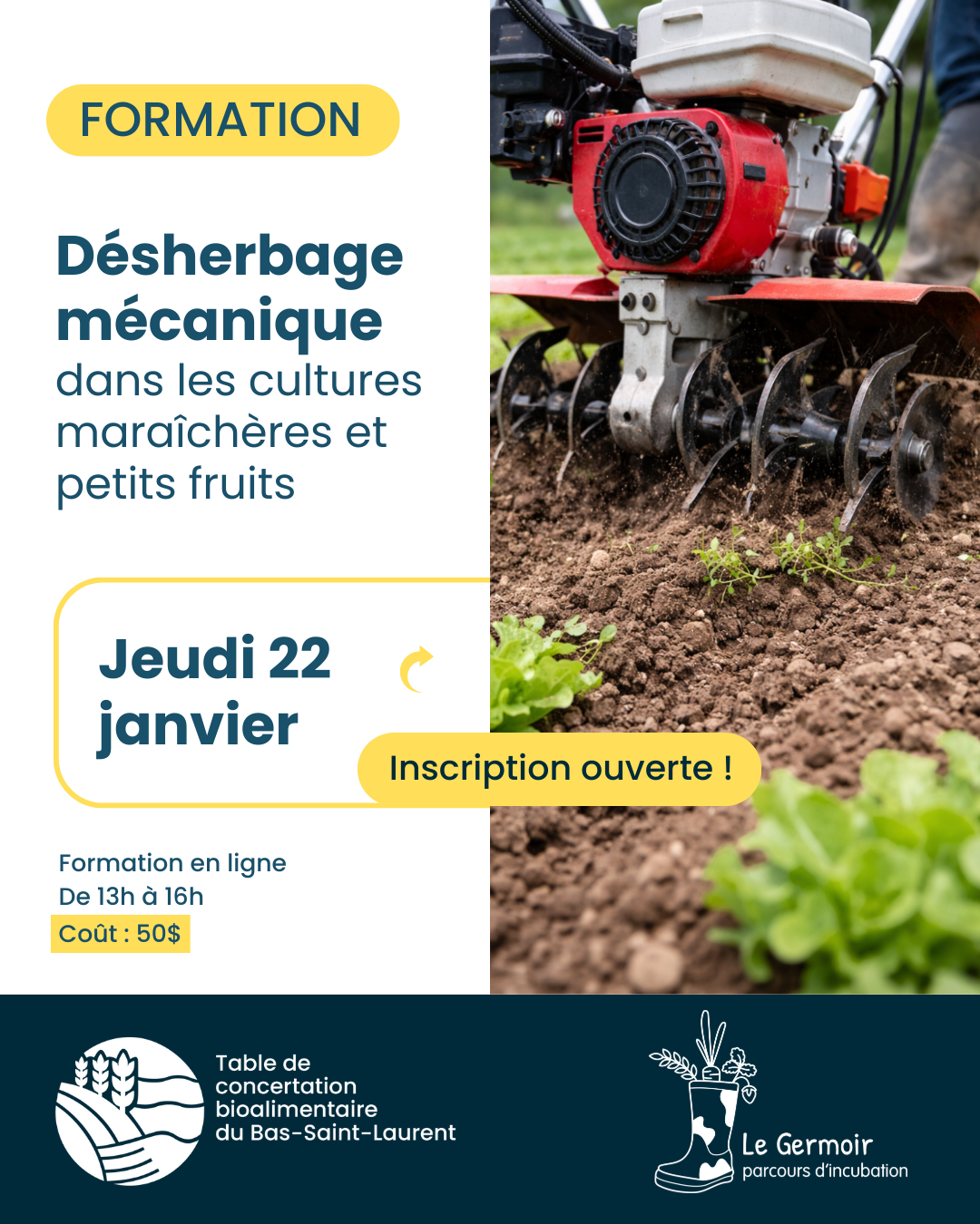 Formation - Désherbage mécanique dans les cultures maraîchères et petits fruits