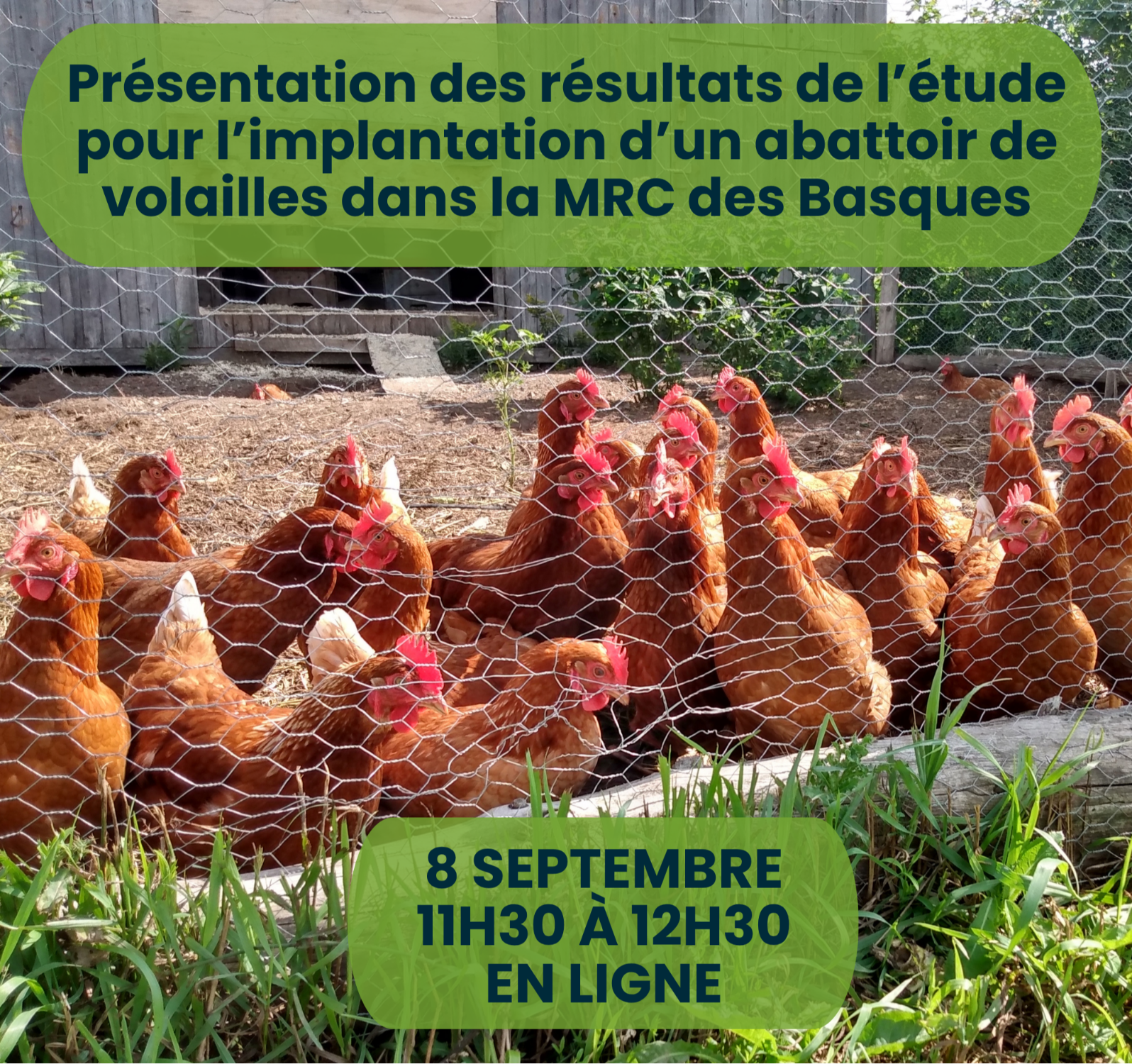 Présentation des résultats de l’étude conceptuelle pour l’implantation d’un abattoir de volailles dans la MRC des Basques