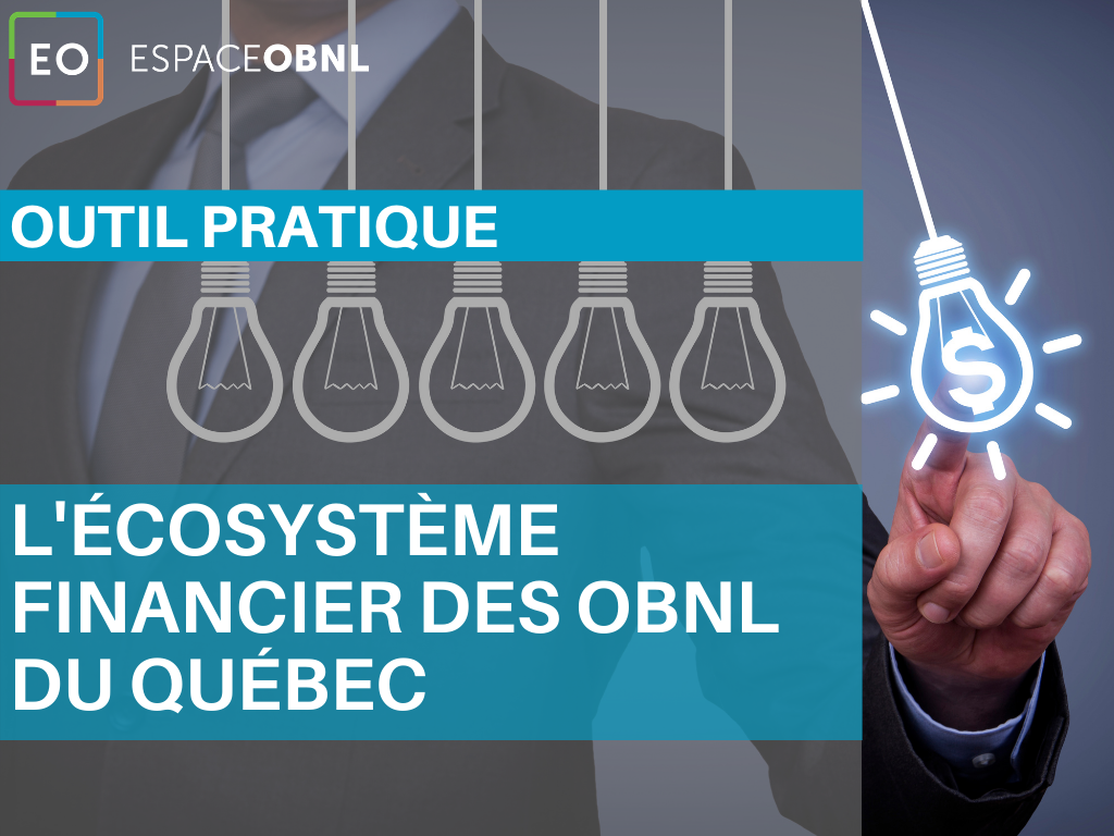 L’écosystème financier des OBNL du Québec: 30 suggestions de revenus