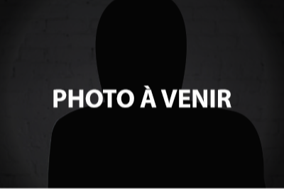 Articles - Vignette