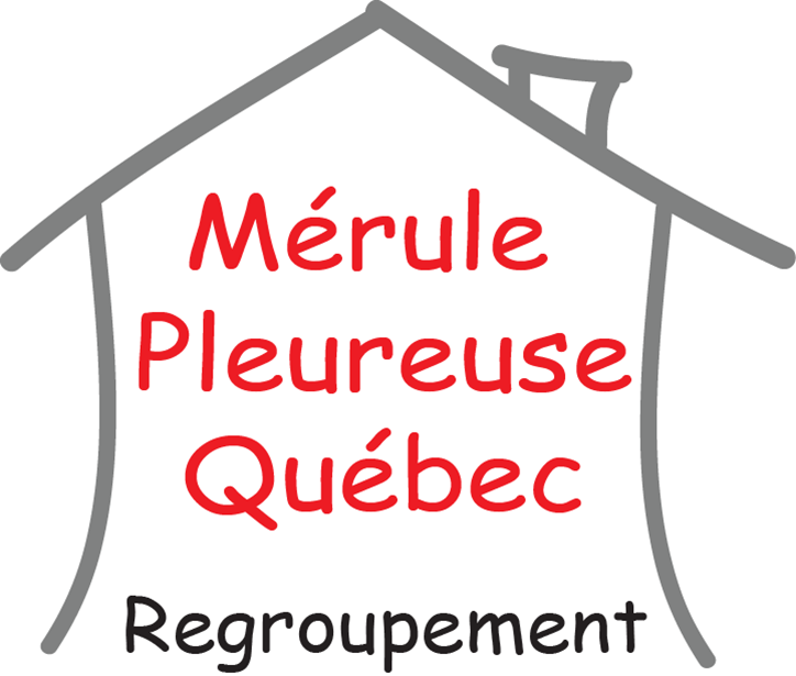 Logo Mérule pleureuse Québec