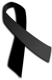 Black Ribbon Day at the Legislature