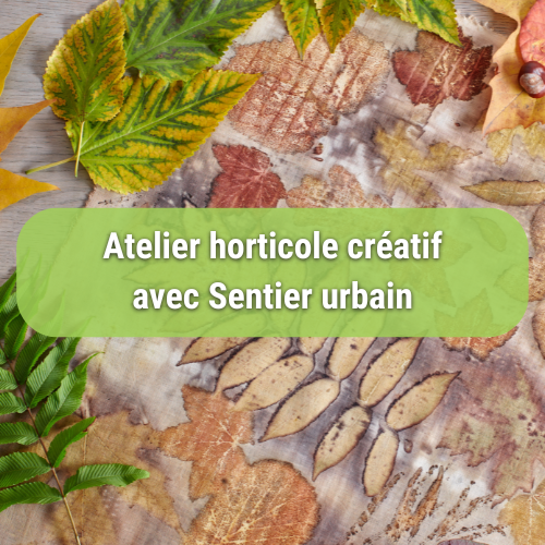 Atelier horticole créatif 25 SEPTEMBRE avec Sentier Urbain