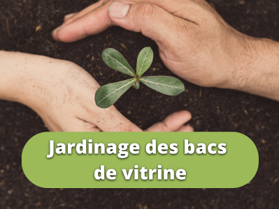 Activité de plantation 5 JUIN avec Sentier Urbain