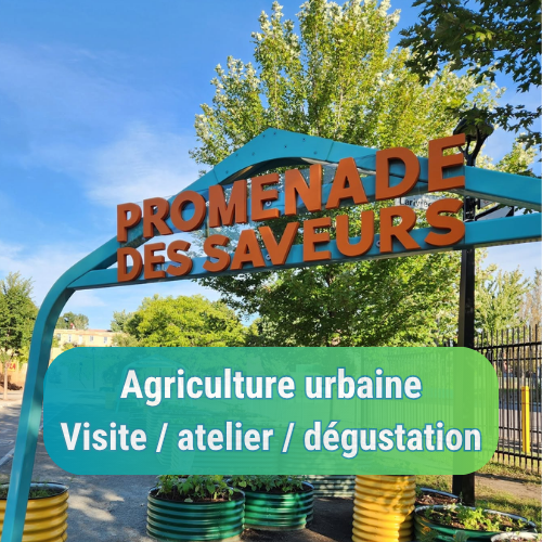 Agriculture urbaine à la Promenade des saveurs