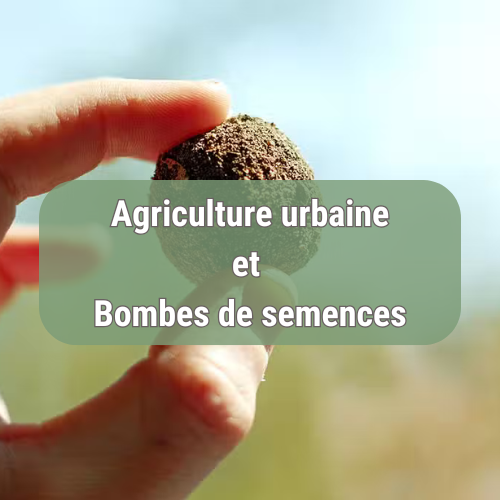 Agriculture urbaine et Bombes de semences avec la SEM